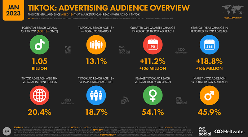 social ads TikTok